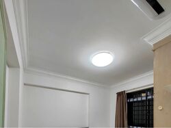 Emerald Park (D3), Condominium #602955821
